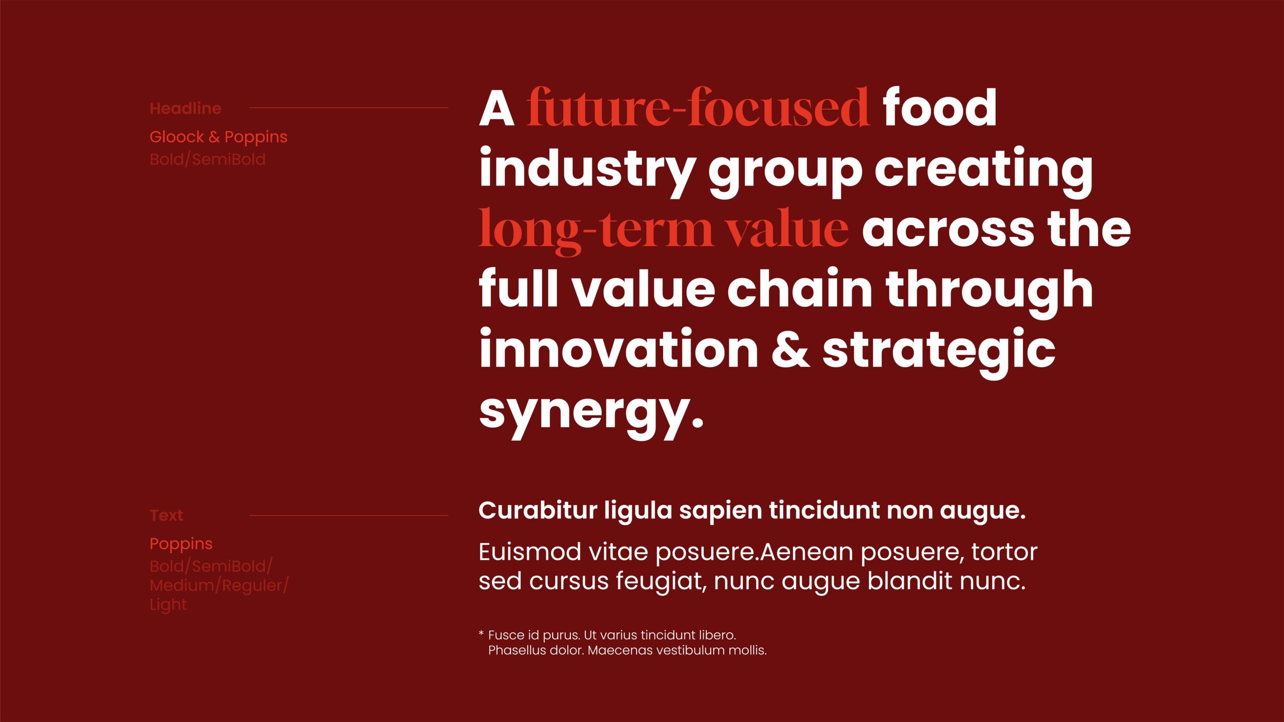 WINSUN corporate presentation slide