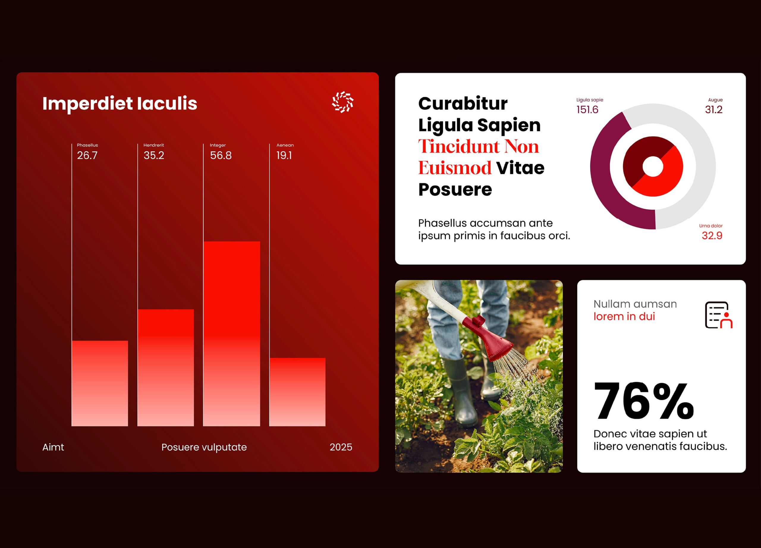 WINSUN data visualization and infographic layout